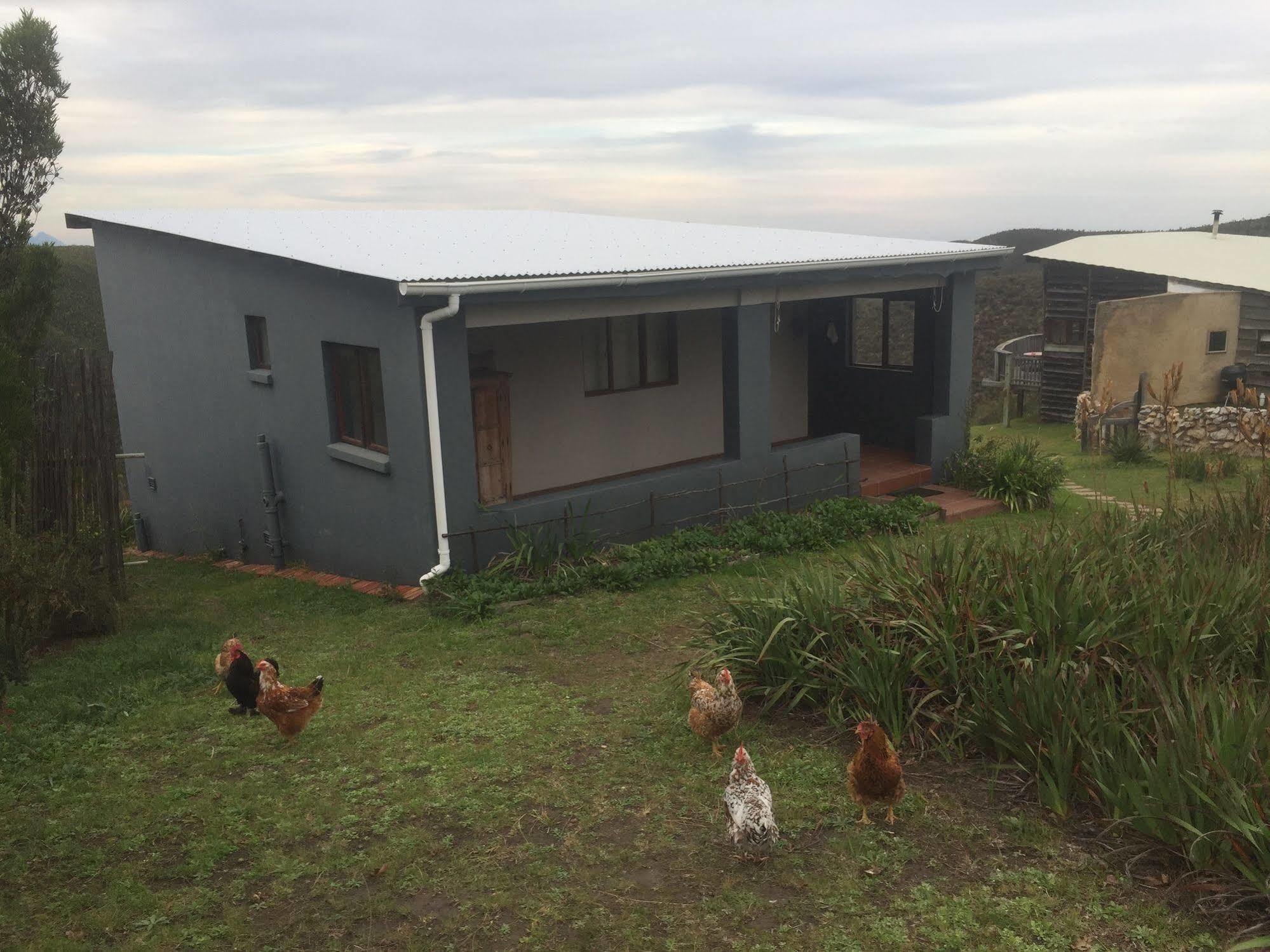 African Crags Eco-Lodge The Crags エクステリア 写真